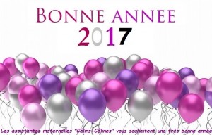 bonne-annee-2017